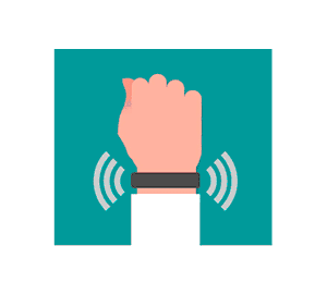 Bracelet System